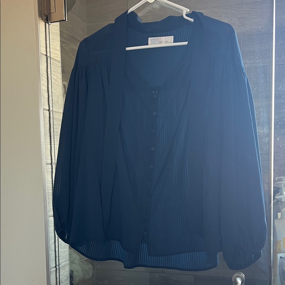 Time and Tru Navy Sheer Pleated Button-Front Blouse